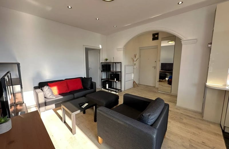 Vermietung einer gemütlichen 2-Zimmer-Wohnung, 40 m², Vračar, Belgrad, Serbien